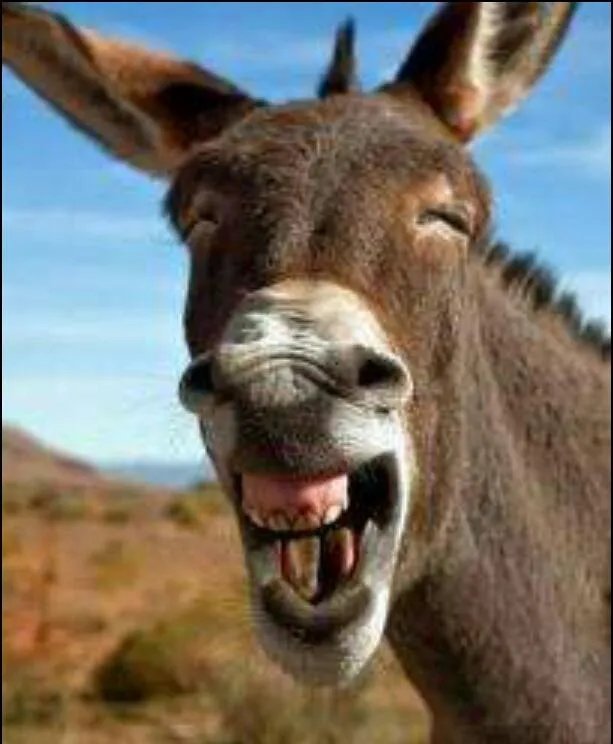 《英雄联盟》的主播小智到底长什么样子？有没有真实的照片？