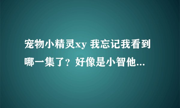 宠物小精灵xy 我忘记我看到哪一集了？好像是小智他们遇到了杰尼龟小火龙妙蛙种子 三只主兽 。。。请