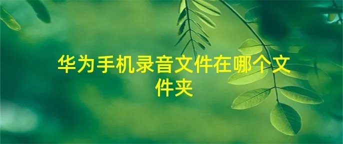 华为手机录音文件在哪个文件夹