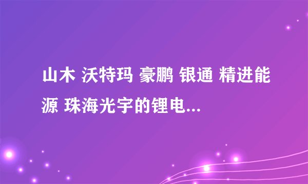 山木 沃特玛 豪鹏 银通 精进能源 珠海光宇的锂电池做的怎样?企业研发实力,效益的