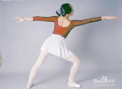 不得不爱舞蹈双人教程