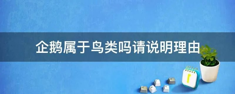 企鹅属于鸟类吗请说明理由