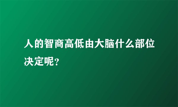 人的智商高低由大脑什么部位决定呢？