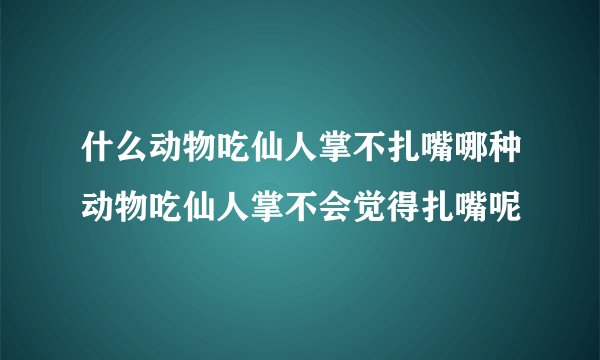 什么动物吃仙人掌不扎嘴哪种动物吃仙人掌不会觉得扎嘴呢