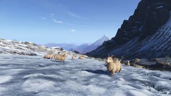 《幽灵行动荒野》全生物图鉴与介绍 生物大全