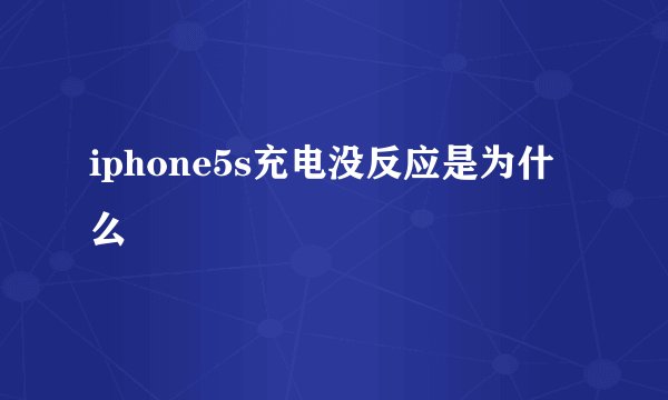 iphone5s充电没反应是为什么
