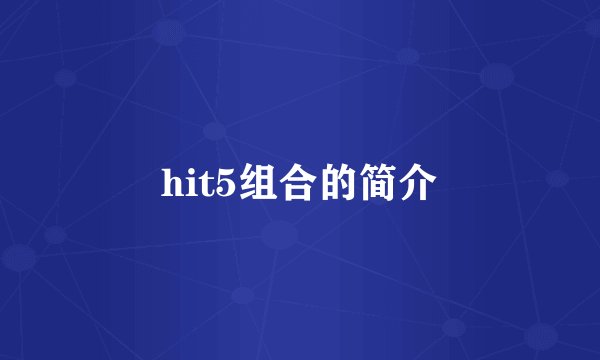 hit5组合的简介