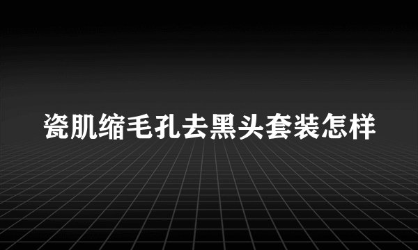 瓷肌缩毛孔去黑头套装怎样