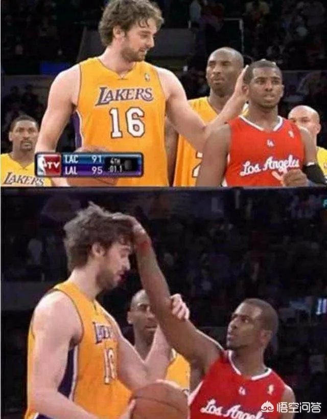 “摸头”上瘾？保罗在采访时，塔克再次偷袭摸头成功。为何这次保罗只是口头警告塔克？