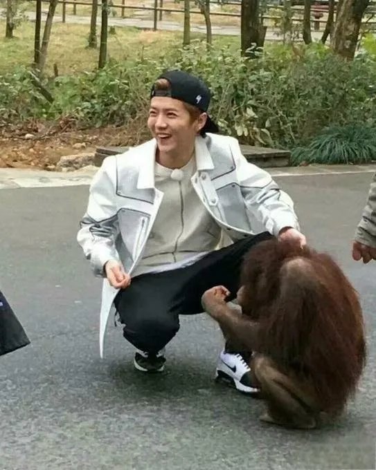 跑男第五季什么时候播？奔跑吧兄弟第五季播出时间约在2017年6月！