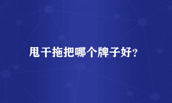 甩干拖把哪个牌子好？