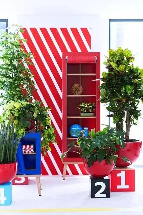 用室内植物搭配家居环境，让“清凉绿意”暴走！