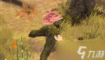 夺笋高手九转还魂芝获取攻略