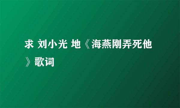 求 刘小光 地《海燕刚弄死他》歌词