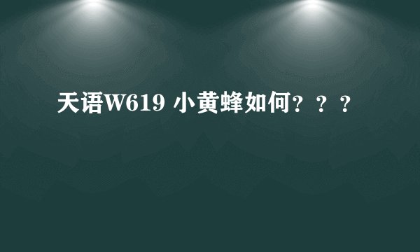 天语W619 小黄蜂如何？？？