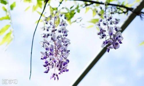 2020疫情开学季的优美语录精选80句