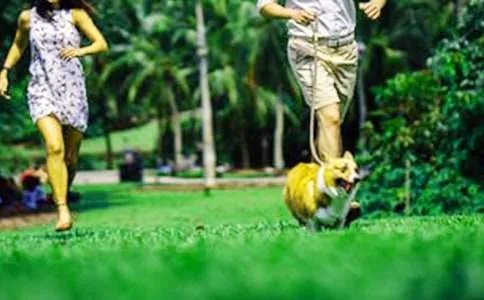 轻松美好周末的说说句子