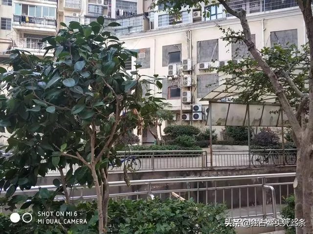 林如海为贾雨村办事，按理说应该找袭爵的贾赦，为何找的是贾政？