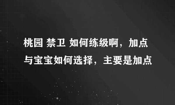 桃园 禁卫 如何练级啊，加点与宝宝如何选择，主要是加点