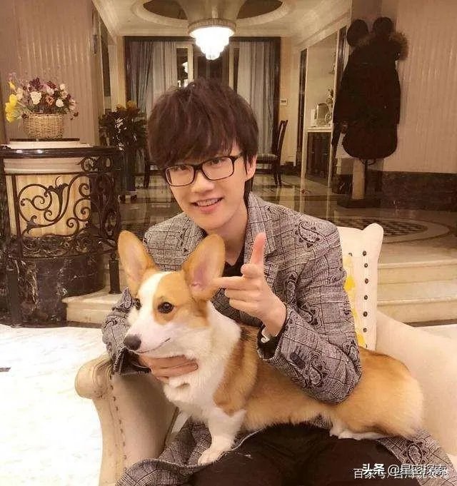 许嵩为什么不签约任何公司？