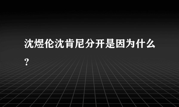 沈煜伦沈肯尼分开是因为什么？