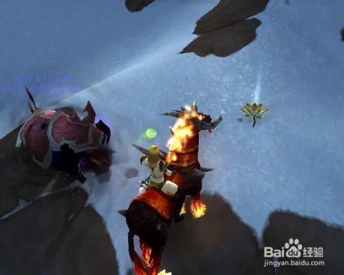 黄金莲哪里多？黄金莲怎么种？黄金莲有什么用