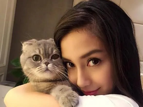 你知道哪些明星，在家养有什么样的宠物呢？