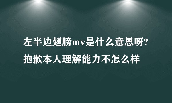 左半边翅膀mv是什么意思呀?抱歉本人理解能力不怎么样
