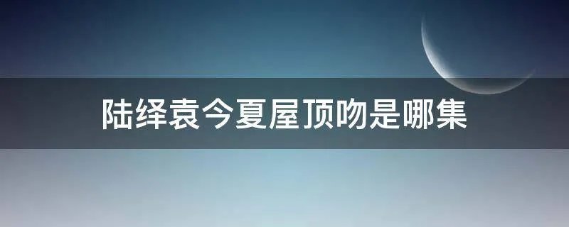 陆绎袁今夏屋顶吻是哪集