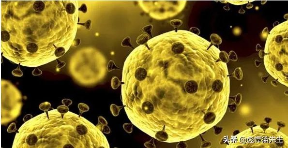 吉林省的疫情三天两头的增加，怎么办啊？