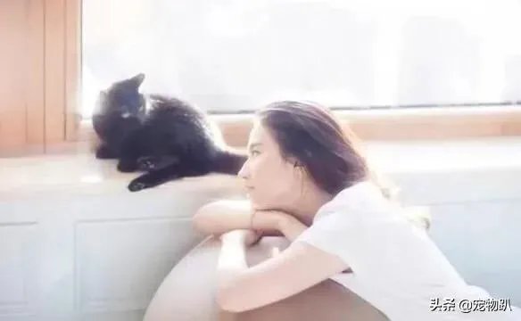 你知道哪些明星，在家养有什么样的宠物呢？