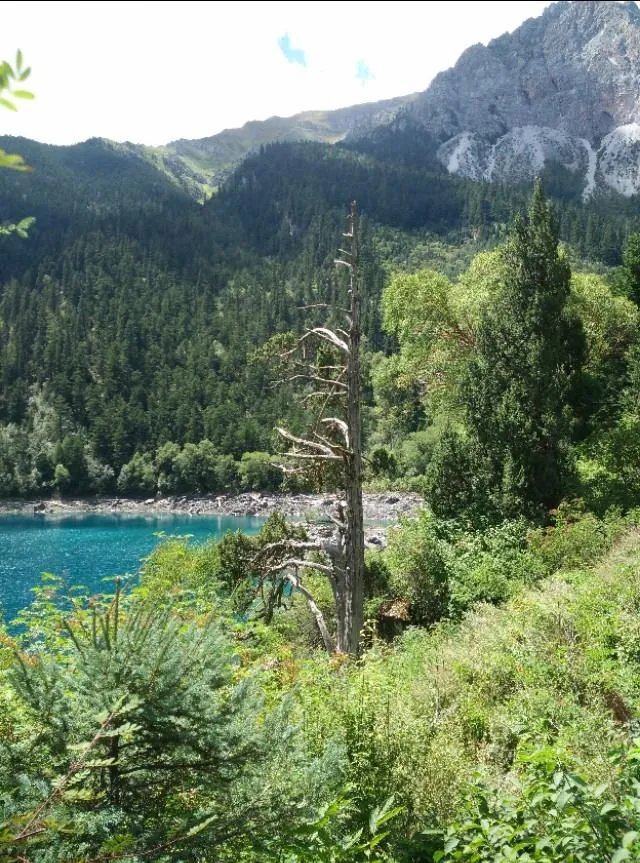 九寨沟地震过后又形成新的景点，你还会去吗？