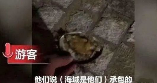 青岛鲍鱼事件,到底是捡还是偷?顺手牵羊叫不叫偷?