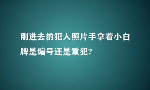刚进去的犯人照片手拿着小白牌是编号还是重犯?