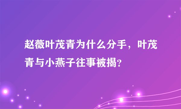 赵薇叶茂青为什么分手，叶茂青与小燕子往事被揭？