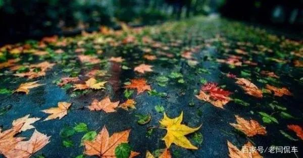 2021年什么时候立秋？立秋后天气怎样？