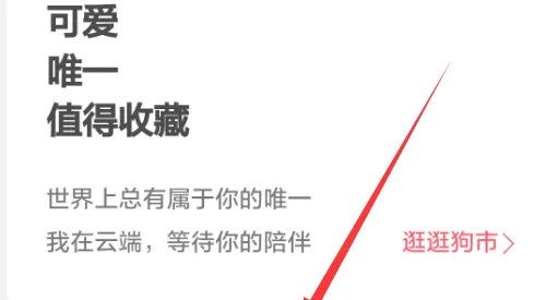 百度钱包怎么玩莱茨狗 莱茨狗手机版怎么赚钱