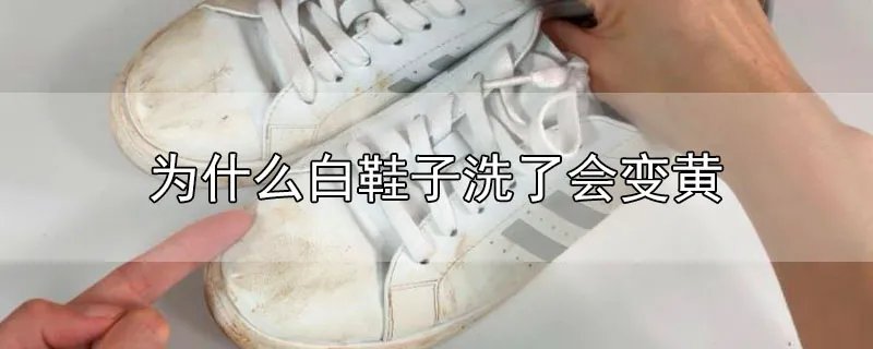 为什么白鞋子洗了会变黄