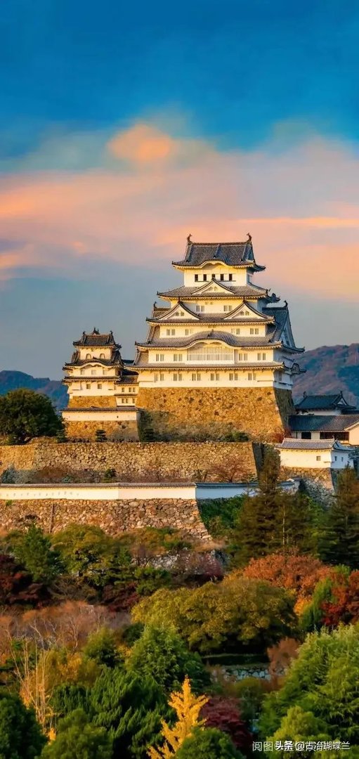 感情是靠感动还是靠吸引