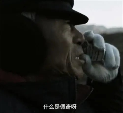 啥是佩奇指的是什么