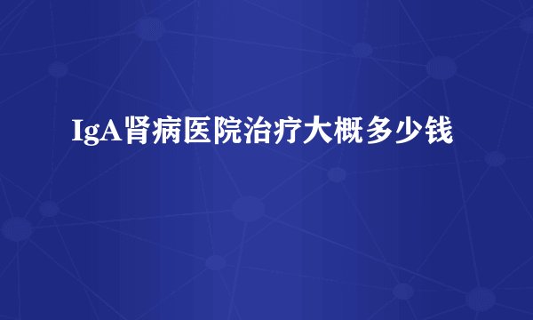 IgA肾病医院治疗大概多少钱