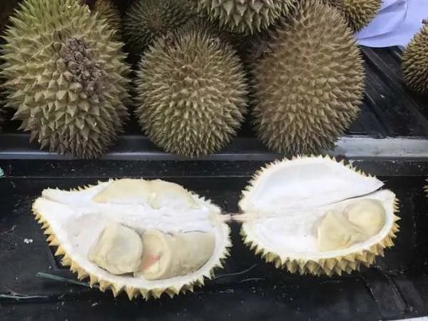 村民食用哄抢榴莲食物中毒是自作自受吗