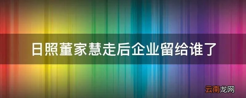 日照董家慧走后企业留给谁了