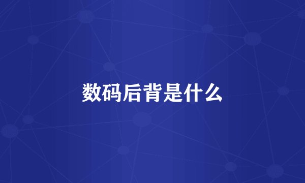 数码后背是什么