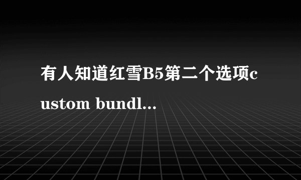 有人知道红雪B5第二个选项custom bundle的意思吗？