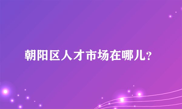 朝阳区人才市场在哪儿？