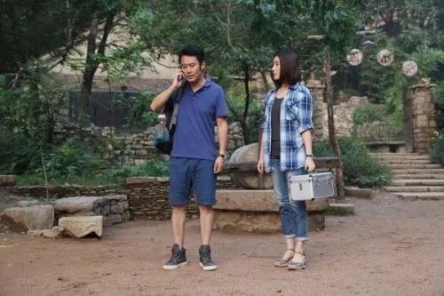 马向阳下乡记主题曲，片尾曲，插曲叫什么名字