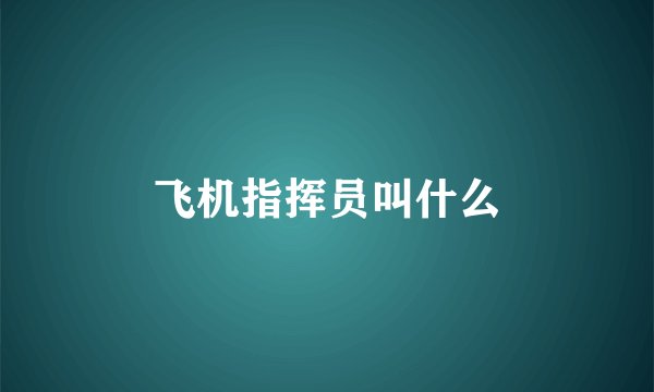 飞机指挥员叫什么