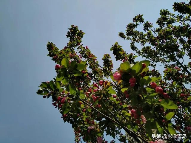 今年五一天津人能跨省旅游吗？