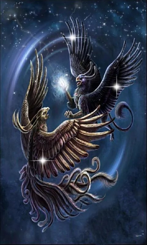 我是异界神兽的小说目录